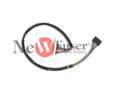 RG1-0907-000CN Cable assembly - Large 7-pin (F) connector to small 7-pin (F) connector - 41.5cm (16.4in) long